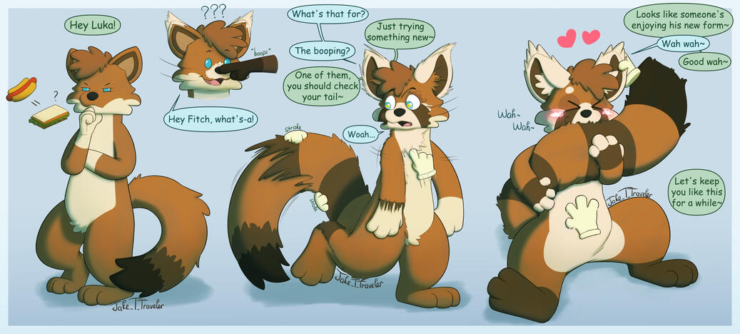Red Panda TF Red Panda TF